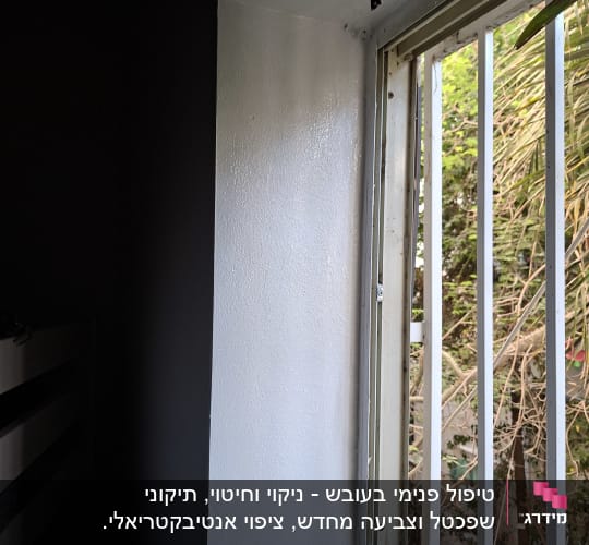 חלון עם מסגרת מתכת וצמחייה בחוץ